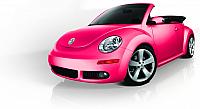 pink beetle