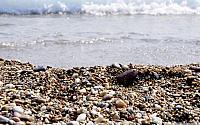 gravel beach